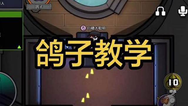 鸽子就这样玩。