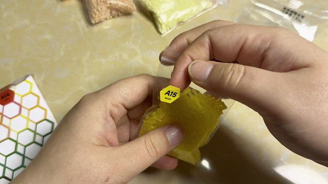 沉浸式整理豆子“A”