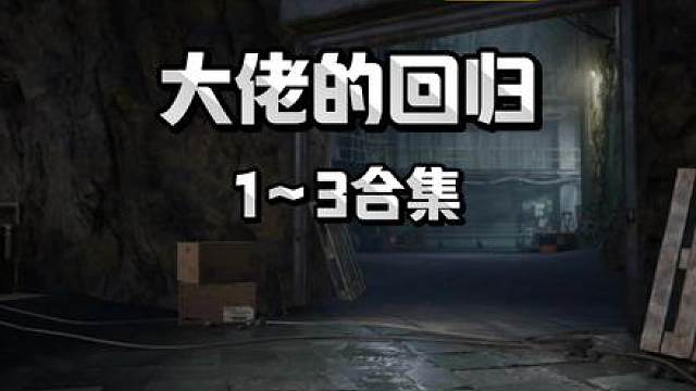 《大佬的回归》13合集