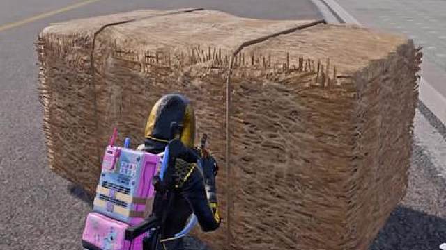 申请出战大司马杯