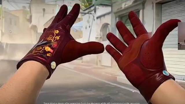 dank1ng看cs2新手套发表自己的看法