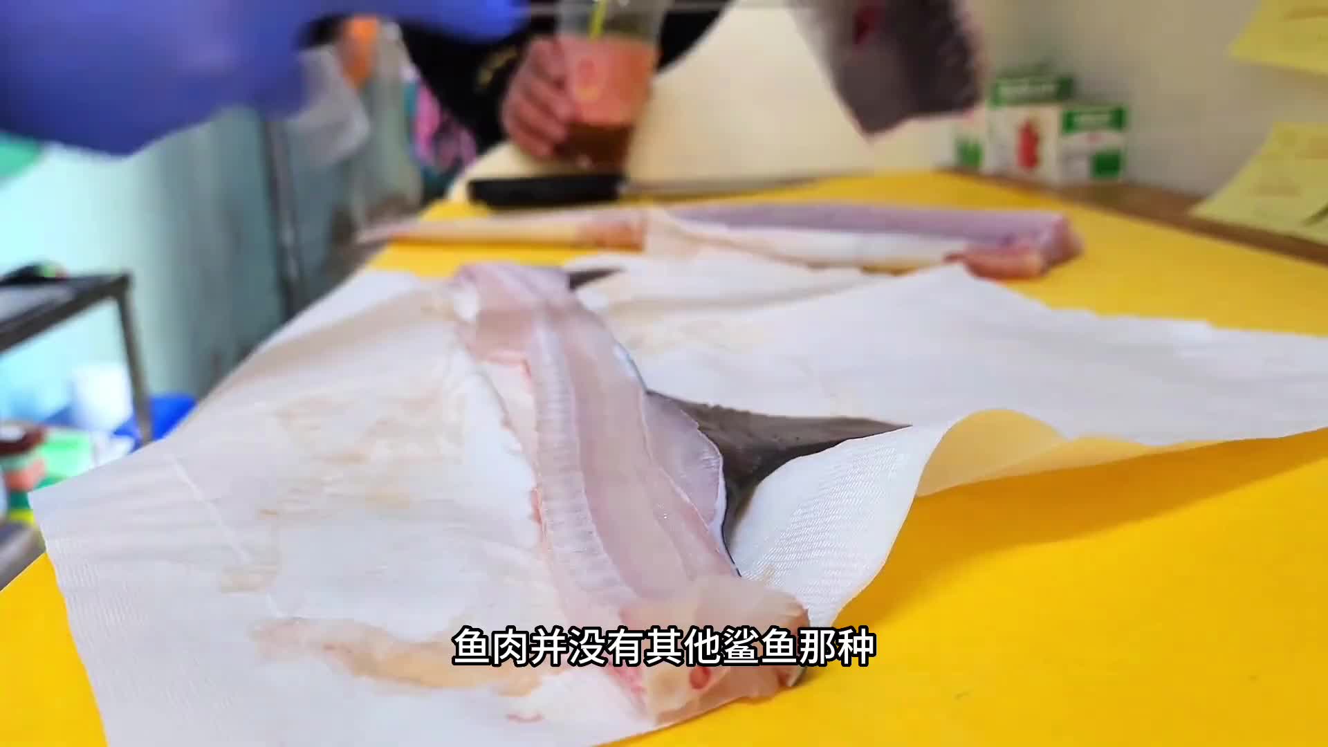 比蓝鳍金枪鱼还要抢手的白斑星鲨