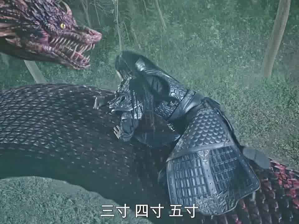 蛇的七寸在哪里