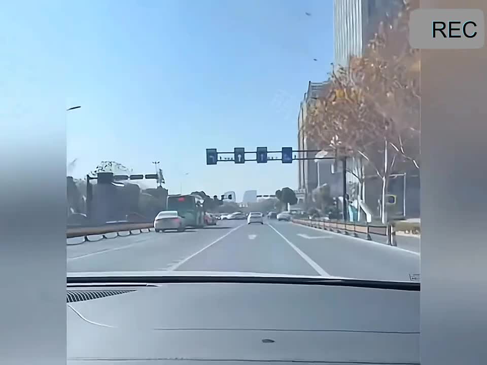 盘点那些毛孩子的回家之路