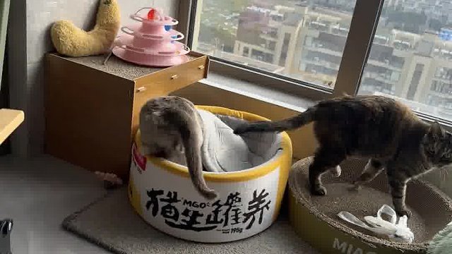 笑了十分钟才发出来