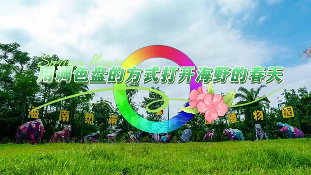 用调色盘的方式打开海野的春天每一帧都是海野独特色彩