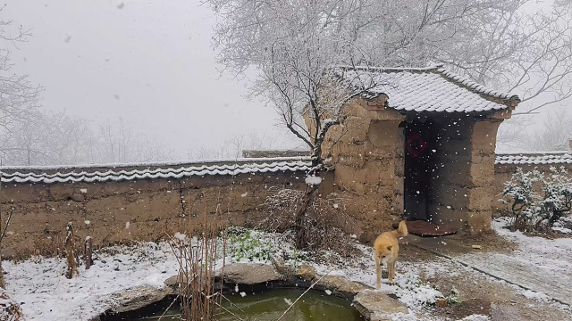 好大的春雪啊，三月中了，还能这般喷薄倾泻