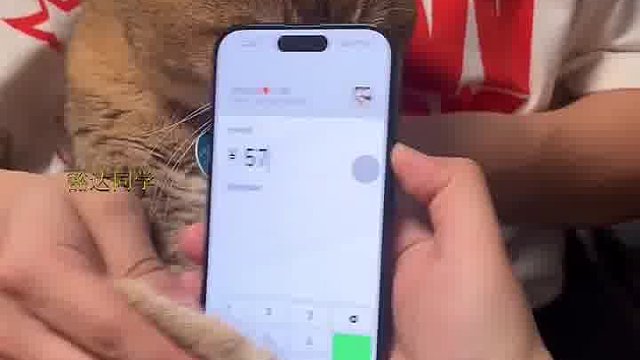 我就说发个零花钱为什么让猫按呢？