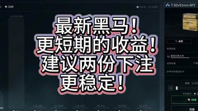 子弹界最新黑马！兄弟们快加仓！这价格不可能亏！