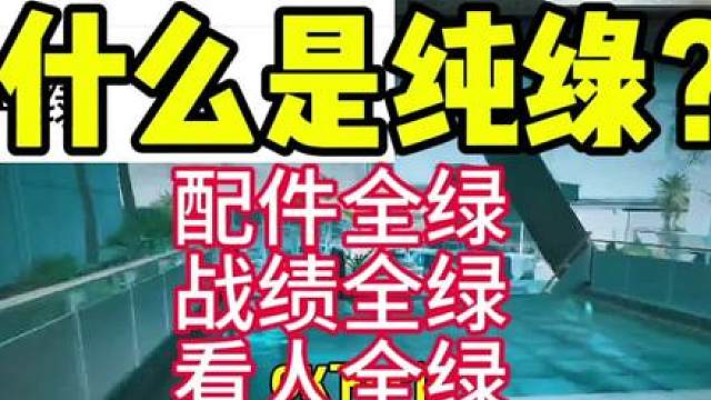 看人全绿不是纯绿吗？配件全绿不算吗？战绩全绿有问题吗？？