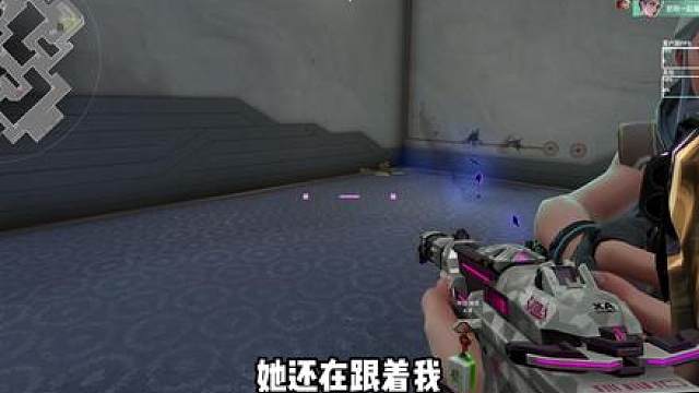 欺负一只傻福？