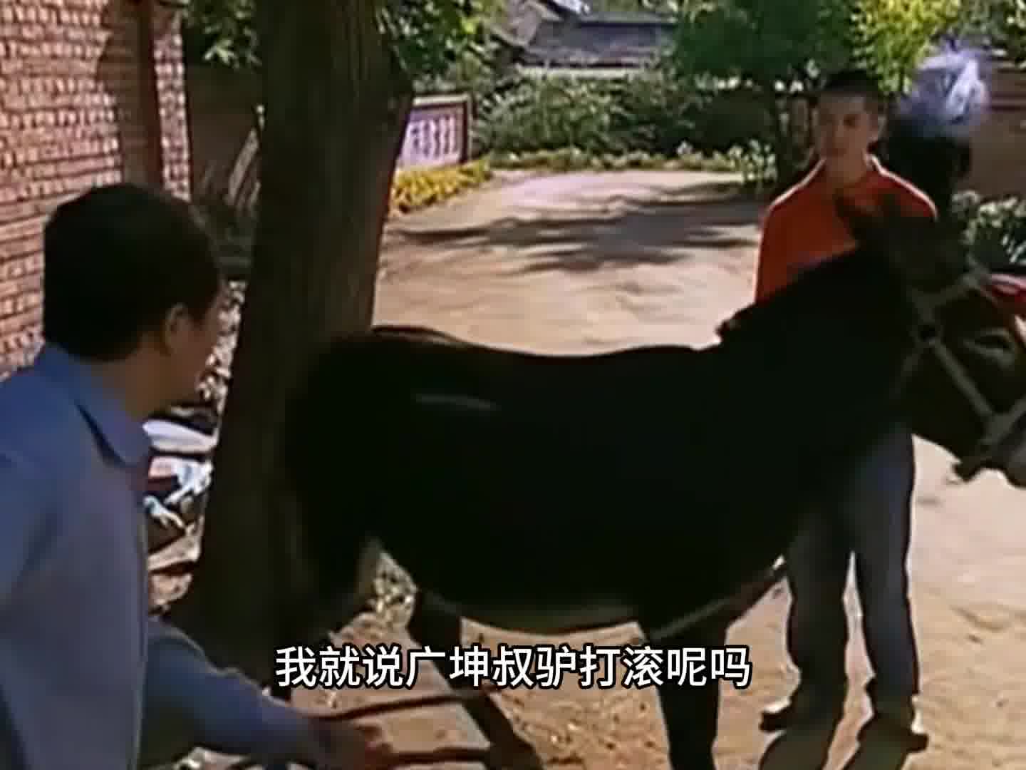 在象牙山 嘴上能占谢广坤便宜的也就只有李大国了吧 哈哈