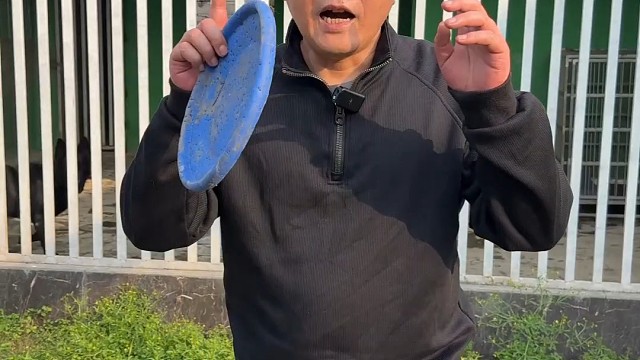 狗狗学习打麻将