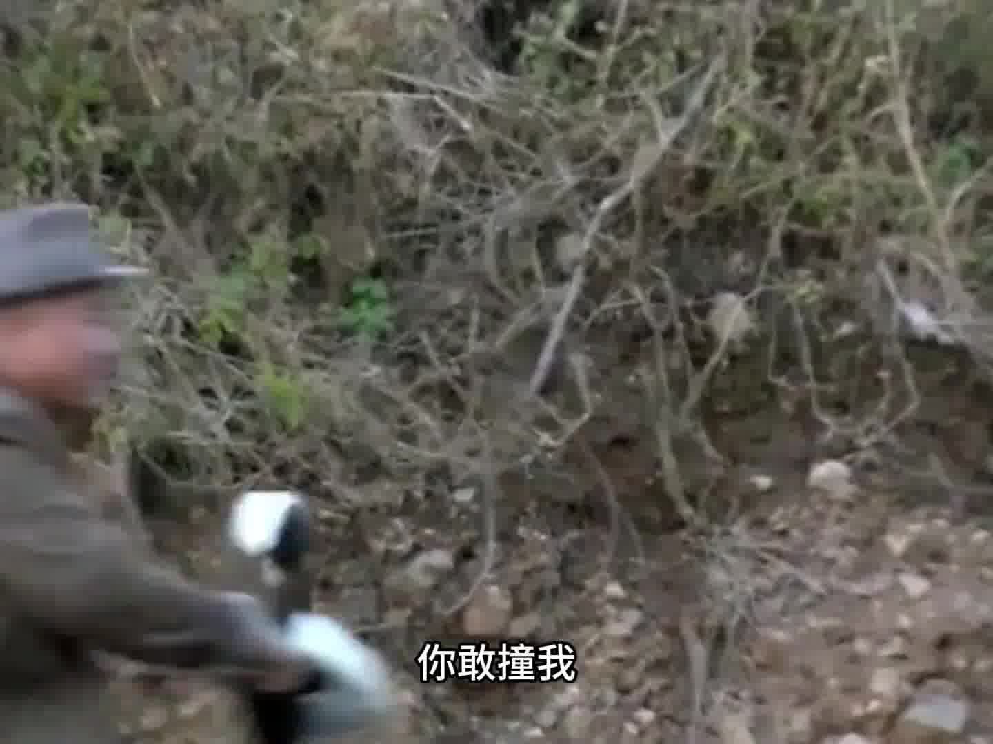 在象牙山能摆平刘能的 还真不好找 哈哈