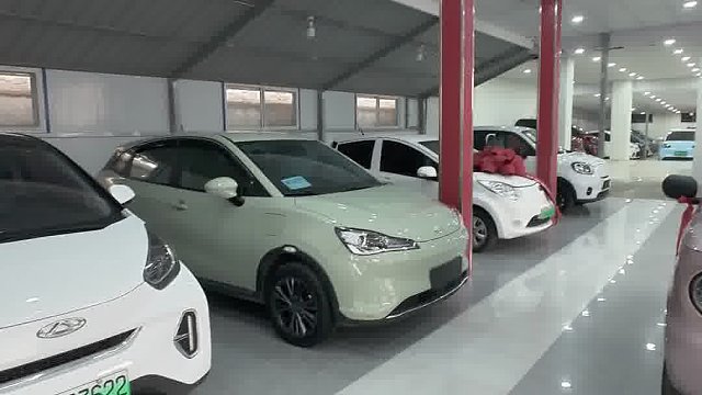 吉利熊猫耐力熊