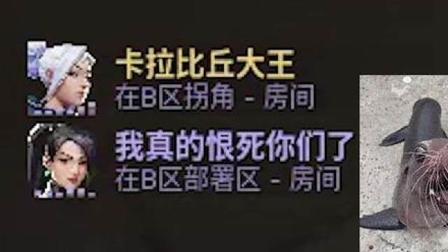 好像知道她为什么业绩垫底了 国服钻石