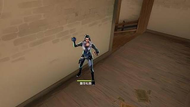 阳间道具：黑梦隐世修所顶级反清眼！！