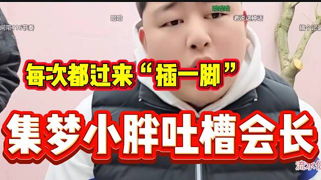 集梦小胖无奈每次自己有方案就会被会长插手，没招了！