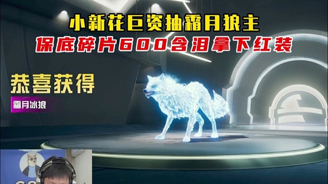 小新花巨资抽霜月狼主，压仓碎片含泪拿下红装