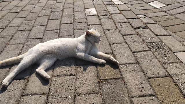 好兄弟一辈子～