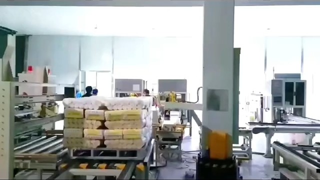 #挂面码垛机器人#立柱#立柱码垛机 #工业自动化 #机械臂