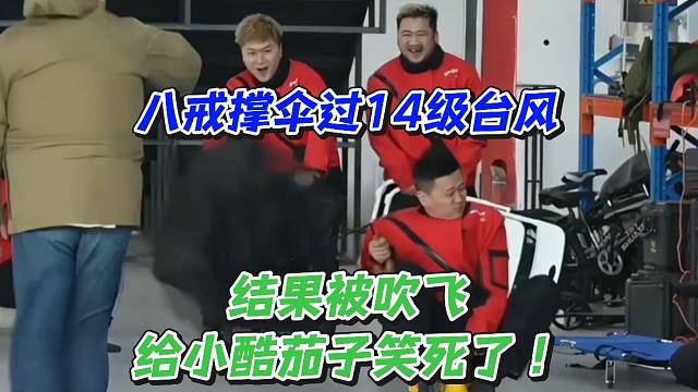 八戒撑伞过14级台风！结果被吹飞给小酷茄子笑死了
