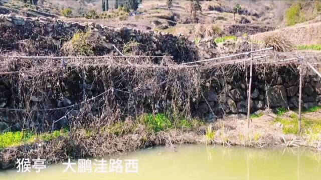 悟饭来了Wufan is here.