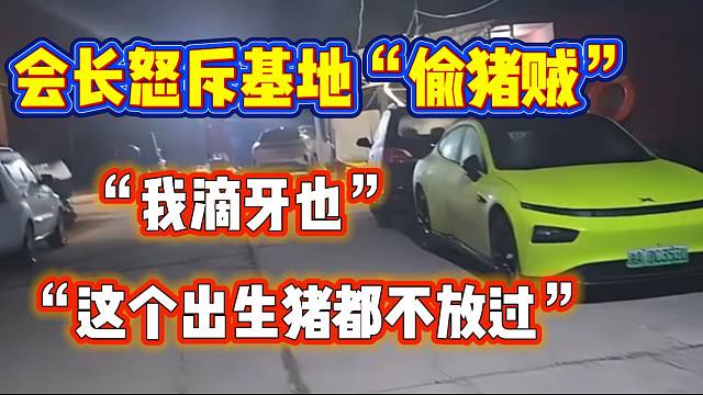 集梦会长怒斥基地里的“偷猪贼”，“猪竟然都不放过”！