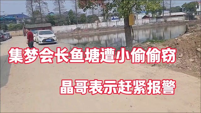集梦会长鱼塘遭小偷偷窃
晶哥表示赶紧报警
