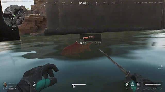 摸鱼能手之大家遇到过什么样的神人