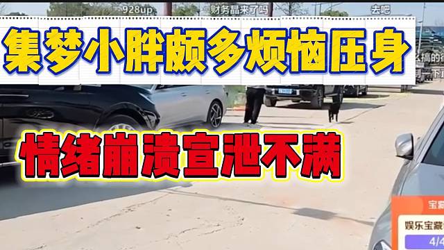 集梦小胖最近颇多颇多烦恼压身，情绪崩溃宣泄不满！