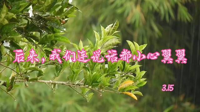 后来，我们连说话都小心翼翼