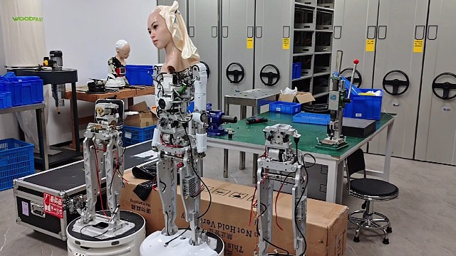 仿生机器人生产厂家