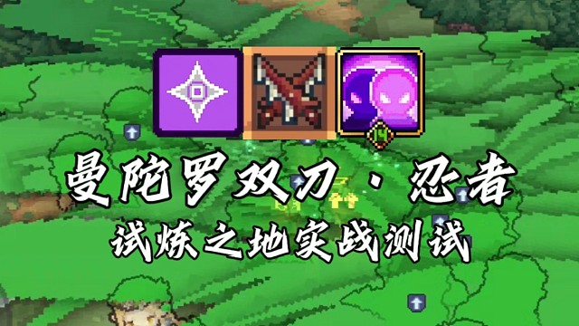 【元气骑士前传】曼陀罗双刀·忍者 试炼之地实战测试
