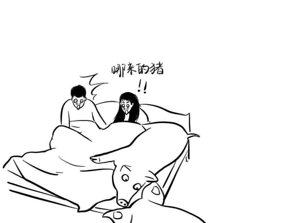 天上掉野猪哈哈