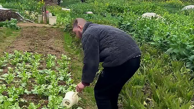 残缺的是身体，完整的是爱。我用尽所有力气，只想给弟弟一个安稳的家。