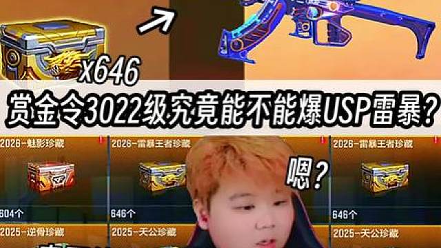 赏金令3022级究竟能不能爆成品USP雷暴?2097个赏金令爆3个成品安排81式瑜?