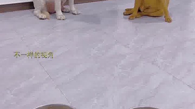 小花怎么不抢了呢？