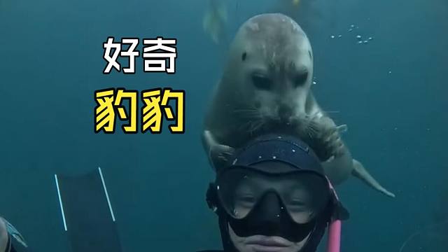 那些跟人偶遇的动物们！