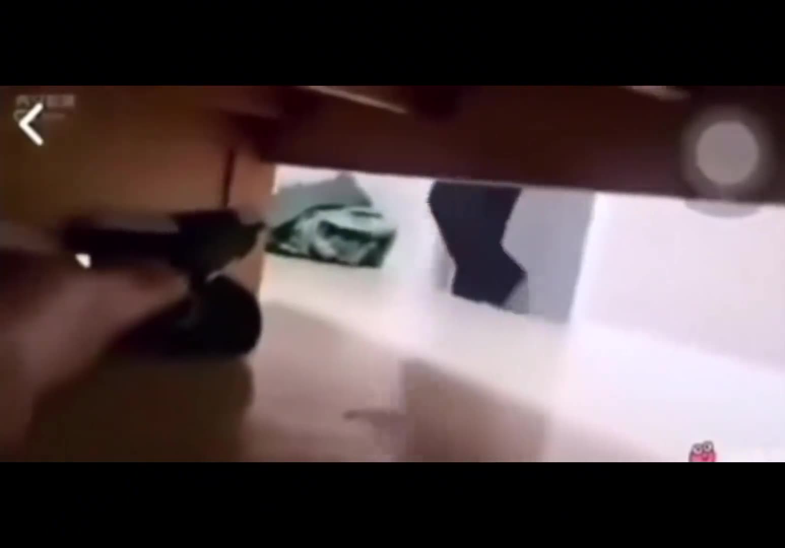 《到底有多绝望才能发出这种声音》