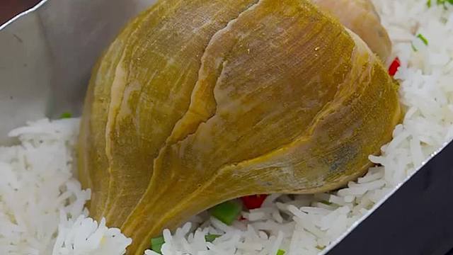 这东西我也吃不惯啊小胖哥