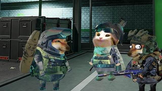 当你善待一只鼠鼠后 发现原来真的有好鼠鼠