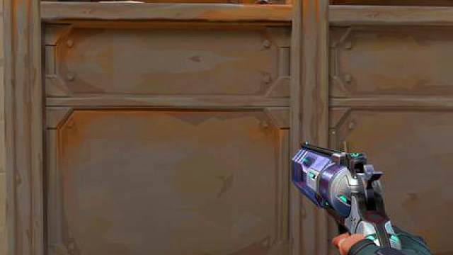 也不晓得怎么进的鼓.