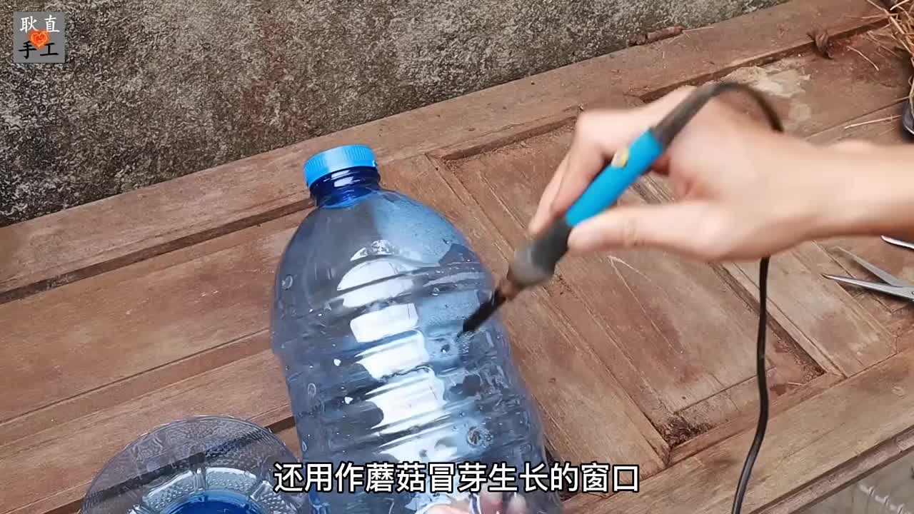 在自家阳台上就能轻松种植鲜嫩多汁的蘑菇