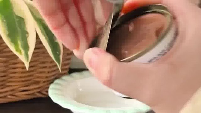 希喂猫罐头，人食级原料吃着安心