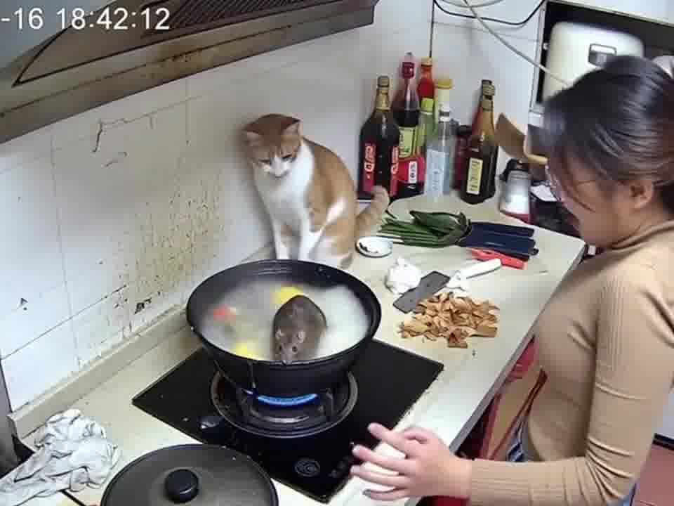 主人今晚加餐哈哈