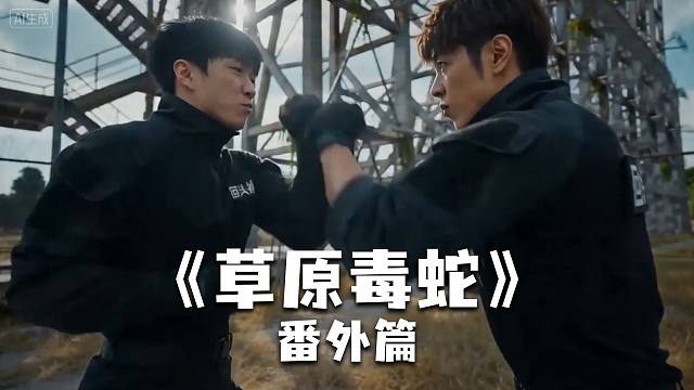 《草原毒蛇》番外篇