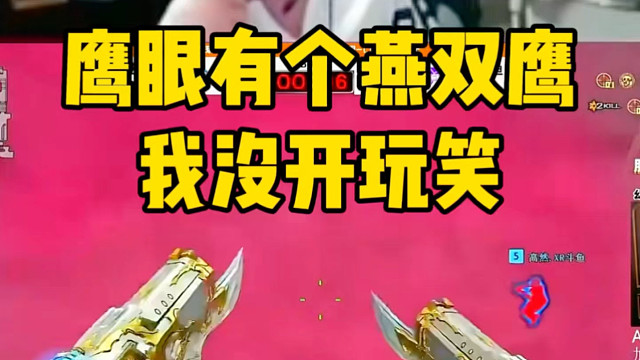 新鹰眼有个燕双鹰，我没开玩笑！！鹰眼王lye0秒切双枪天神绝杀炫石，燕双鹰说是 #