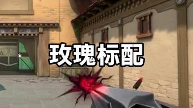 玫瑰套装// 标配展示