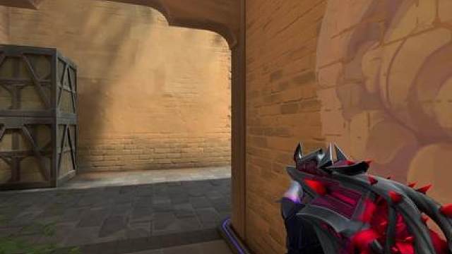 荆棘圣骸狂徒实机演示